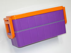 ��i���ٓ����i�g���j